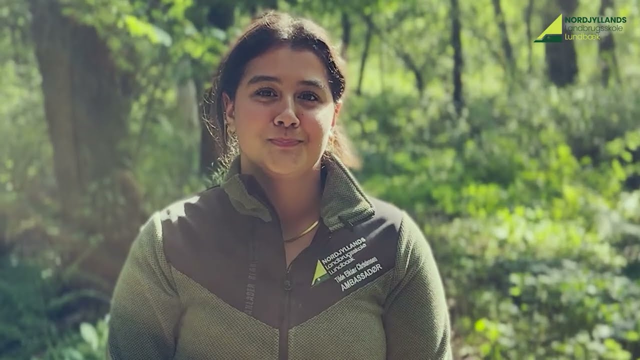 Tilde - Study Aalborg