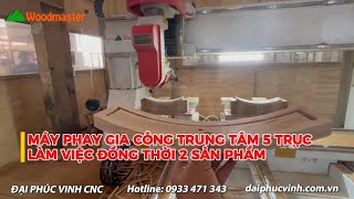 Máy Phay CNC Gia Công Trung Tâm 5 Trục - Làm Việc 2 Đầu Đồng Thời - Woodmaster - PRO-MASTER-T4X2