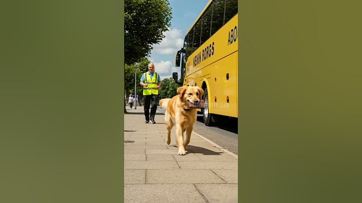 Heroic Golden Retriever Saves Kitten From Under a Moving Bus! #shorts
