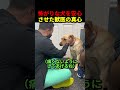 怖がりな犬を安心させた獣医の真心