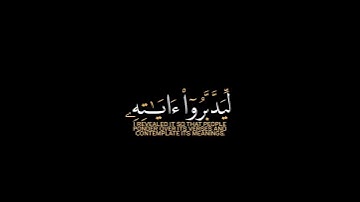 تلاوات الشيخ اسلام صبحي ❤️ ❤️ #اكسبلور #لايك#تيك_توك
