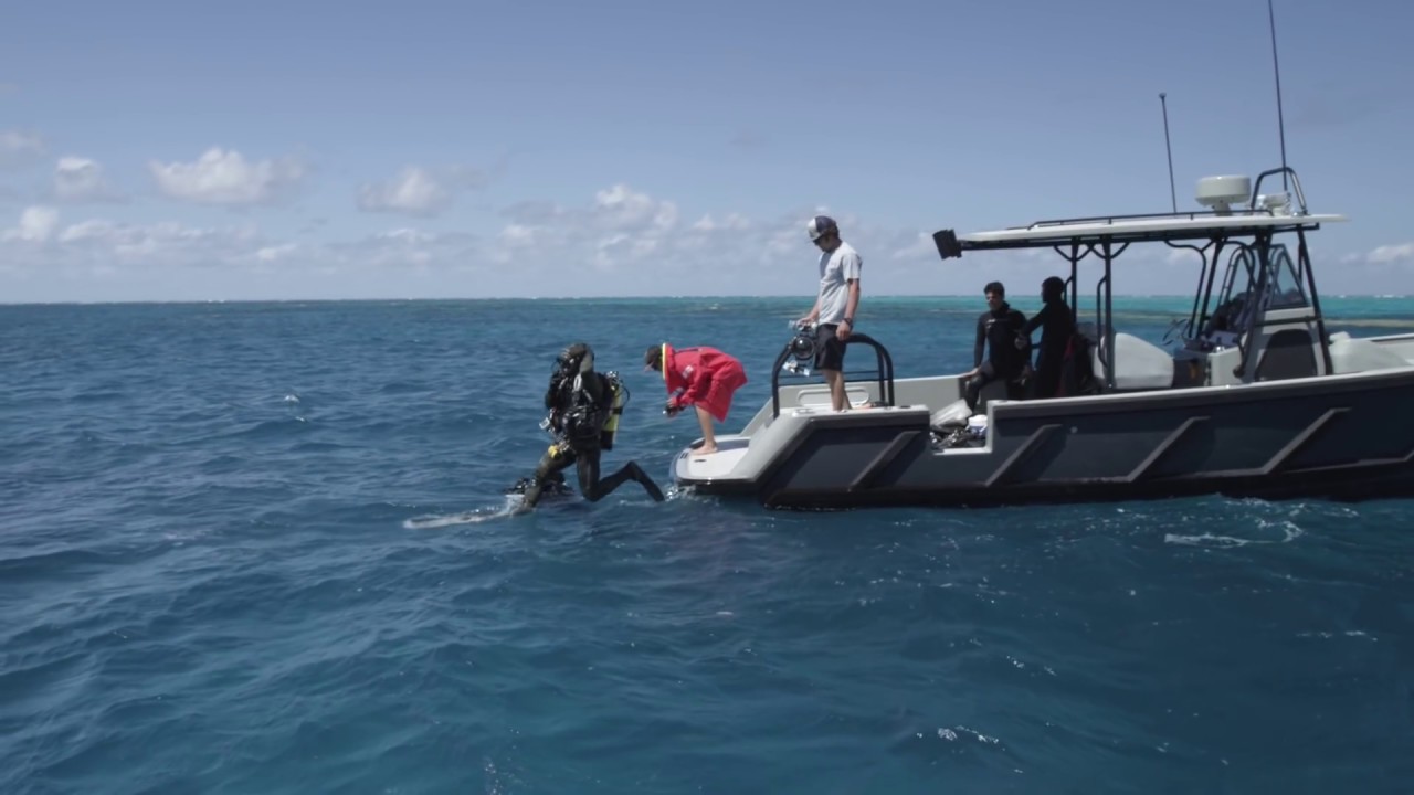Waitt Ocean Expeditions- Supporting Marine Science Around The World