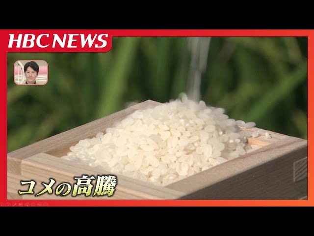 師走特別価格！お値引き！新米作付面積たった5%の希少なササニシキどっさり24kg 師走特別価格！お値引き！新米作付面積たった5%の希少なササニシキ