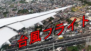 Tokyo/Haneda-Osaka/Itami Flight in Typhoon