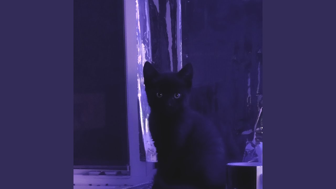 Дежавю (prod. by krystallapyh)