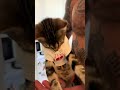 #cat #веселыекоты #funny #прикольныекоты #красиваякошка #chat #видосыоткота #котофейка #funny
