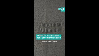 👩‍⚖️ SOCIEDADE | A VIOLENCIA contra os ANIMAIS poderá ser considerada violencia VICARIA