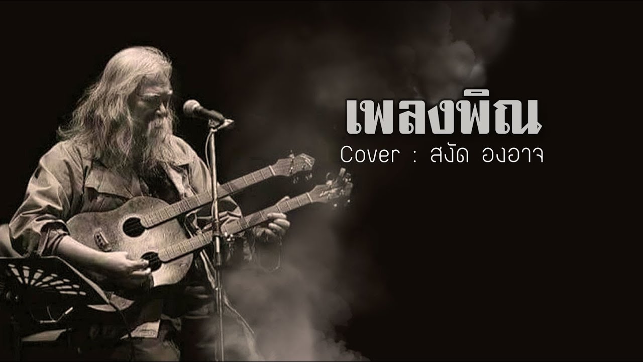 เพลงพิณ ( Cover  สงัด)