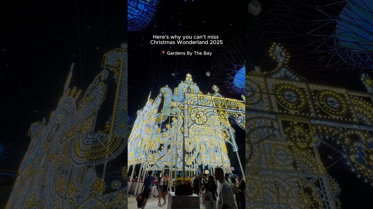 Christmas Wonderland 2025 ❄️