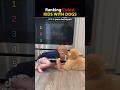Cutest Babies with Dogs Ranked! 🐶 #funny #dog
