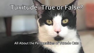 Tuxitude: True or False?