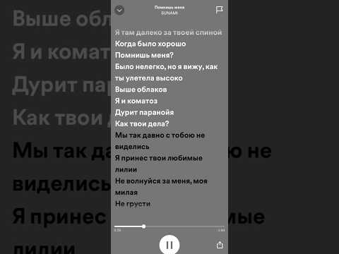 SUNAMI - Помнишь меня