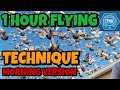 1 HOUR FLYING TECHNIQUE | MORNING VERSION | RACING PIGEON | XMAKINA OFFICIAL