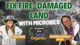 Wildfire Recovery & Bioremediation with Soil Biology
