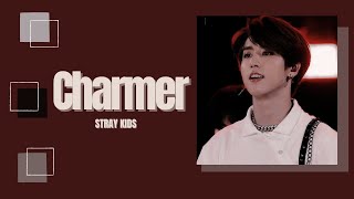 [1시간/ 1 HOUR LOOP] Stray Kids - Charmer