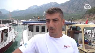 Antalyada Balıkçının Oltasına 5 Metrelik Köpek Balığı Takıldı Anadolu Ajansı