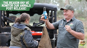Aussie Ark Reason Why Series - Episode 6!