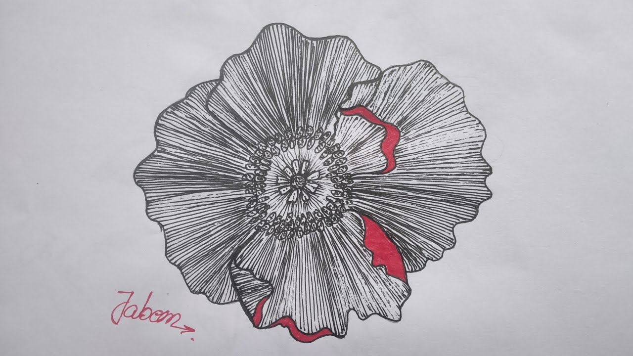 how to draw flower ๐บ๐บ// beautiful flowers drawing// easy flower drawing ...