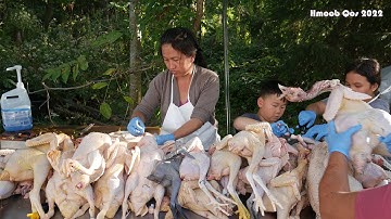 Mus Tua Tus Ntxhais Cov Qaib Dua.9/12/2022