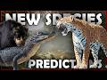 ALL SPECIES PREDICTED for the NEW South America MAP!