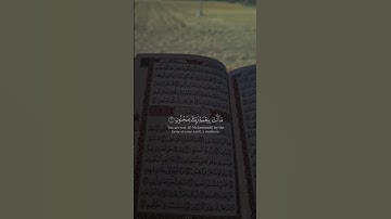 #سورة_القلم #المصحف #اكسبلور #رمضانمبارك