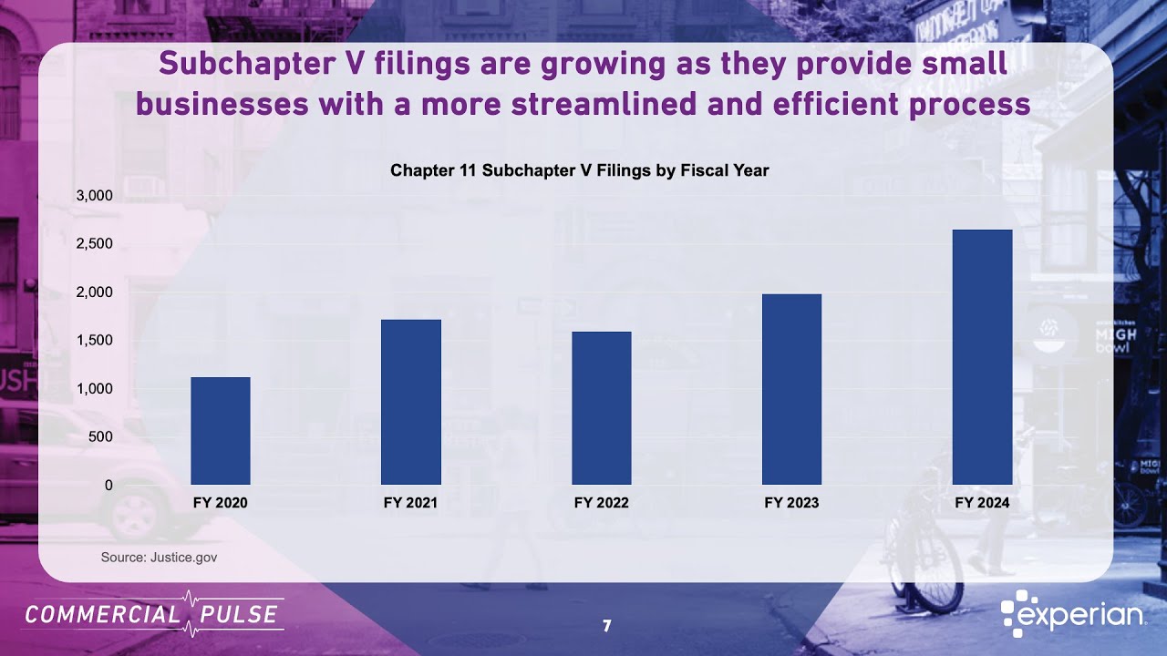 Record Business Creation vs. Soaring Bankruptcies: Commercial Pulse Update
