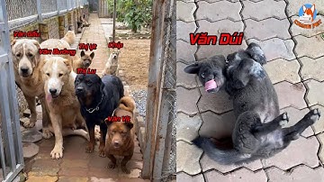 Idol Dúi - Nguyễn Văn Dúi - Thành Viên Bản Dúi
