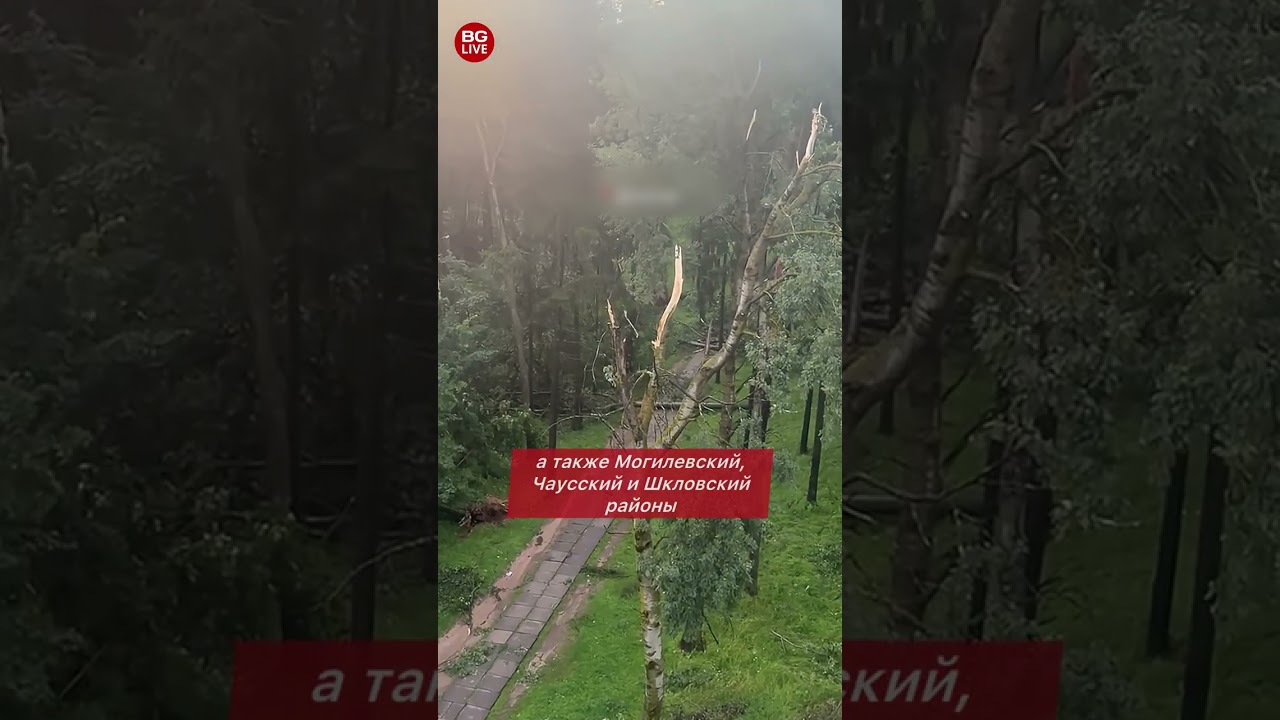 Один из самых разрушительных ураганов над Могилевом: женщина погибла, еще четверо пострадали