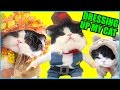 DRESSING UP MY CAT!