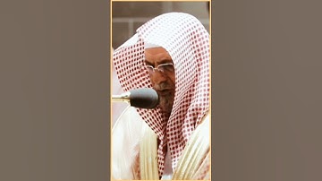 تلاوة مرئية سورة المؤمنون الآيات من ٨ إلى ١١ الشيخ صالح بن حميد