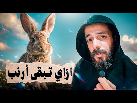 الحياة من وجهة نظر الأرنب