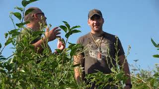 Lovački Klub Ep. 77 04.08.2023. Psi, Borča