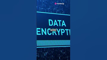 Unleashing the Power of Encoder and Decoder