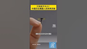 只有蚊子大小！中國仿生機器人技術再突破。#機器人 #AI #仿生機器人