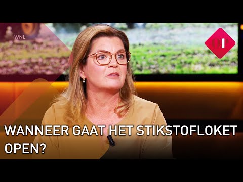 Minister voor Natuur en Stikstof Christianne van der Wal over het openen van het stikstofloket | Op1