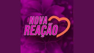 Video thumbnail of "Banda Nova Reação - Flores Que Plantei"