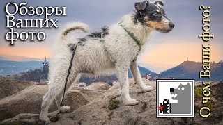 видео: Обзор фотографий | О чём Ваши фото? картинка: Обзор фотографий | О чём Ваши фото?