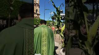 Repique de Campanas,  Jesús María,  jalisco.  Domingo de Flores