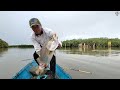 Fishing in rainy weather, this big Barramundi fish is very difficult to catch