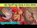 How are human babies born | life inside womb | 9months life in womb | fertilization | pregnancy |bmc