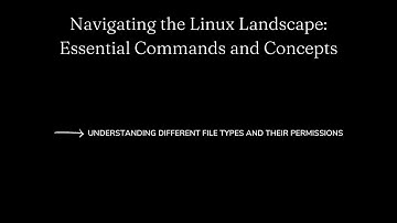 Understanding Different File Types and Their Permissions