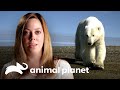 Ataque de urso polar: "pensei que era o fim" | Cara a Cara com as Feras | Animal Planet Brasil