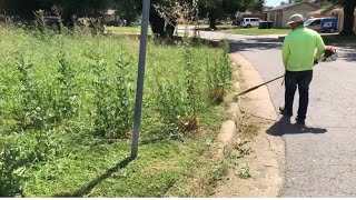 The renters moved out and haven’t mowed since last year