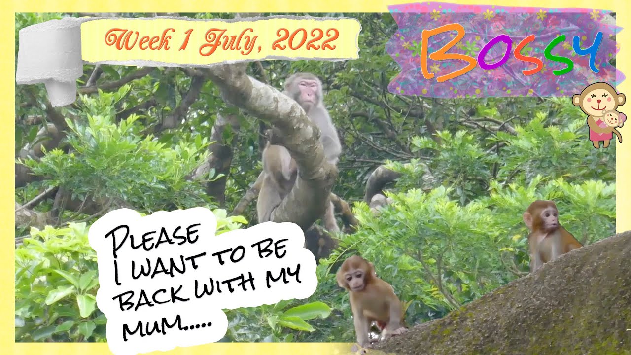 What a day 😣 V - things that make me want to cry 😩