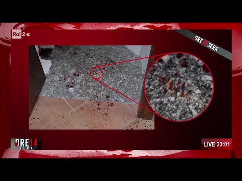 Video Garlasco, nuova impronta di una scarpa: Sempio rinviato a giudizio? - Ore 14 Sera 08/01/2026