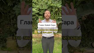 Глава Хайей Сара #torah #иудаизм #тора #rabbi #раввин #бог #молитва  #shorts #эбраэли #ebraeli