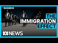 How a surge in immigration could boost Australia's economy | The Business | ABC News