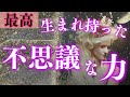 【目覚めの時🥳】あなたが持つ不思議なお力🌟見た瞬間から動き出す❗️深掘り個人鑑定級/タロット&オラクルカードリーディング