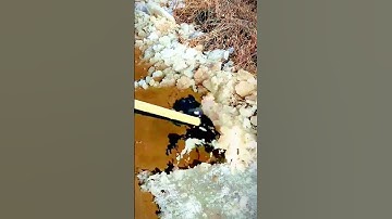 the process of cleaning the ice layer on the road using a shovel #shorts