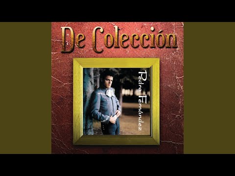 Agrupacion LatinHits - Siempre Te Amare (Tribute To Pedro Fernandez)